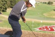 Chipping-13